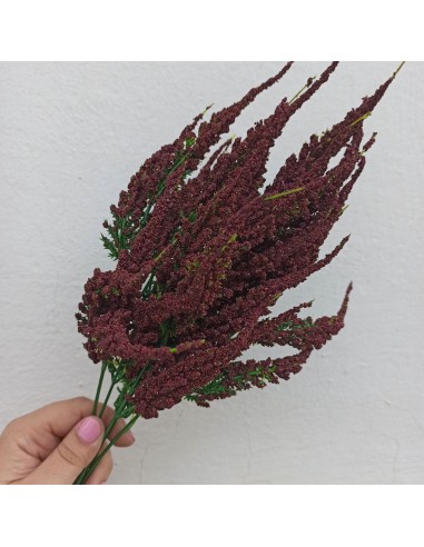 Lavanda color vino