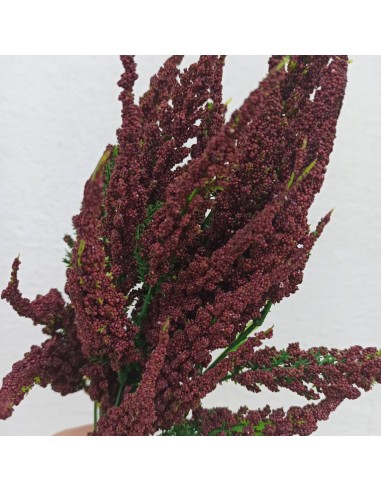 Lavanda color vino